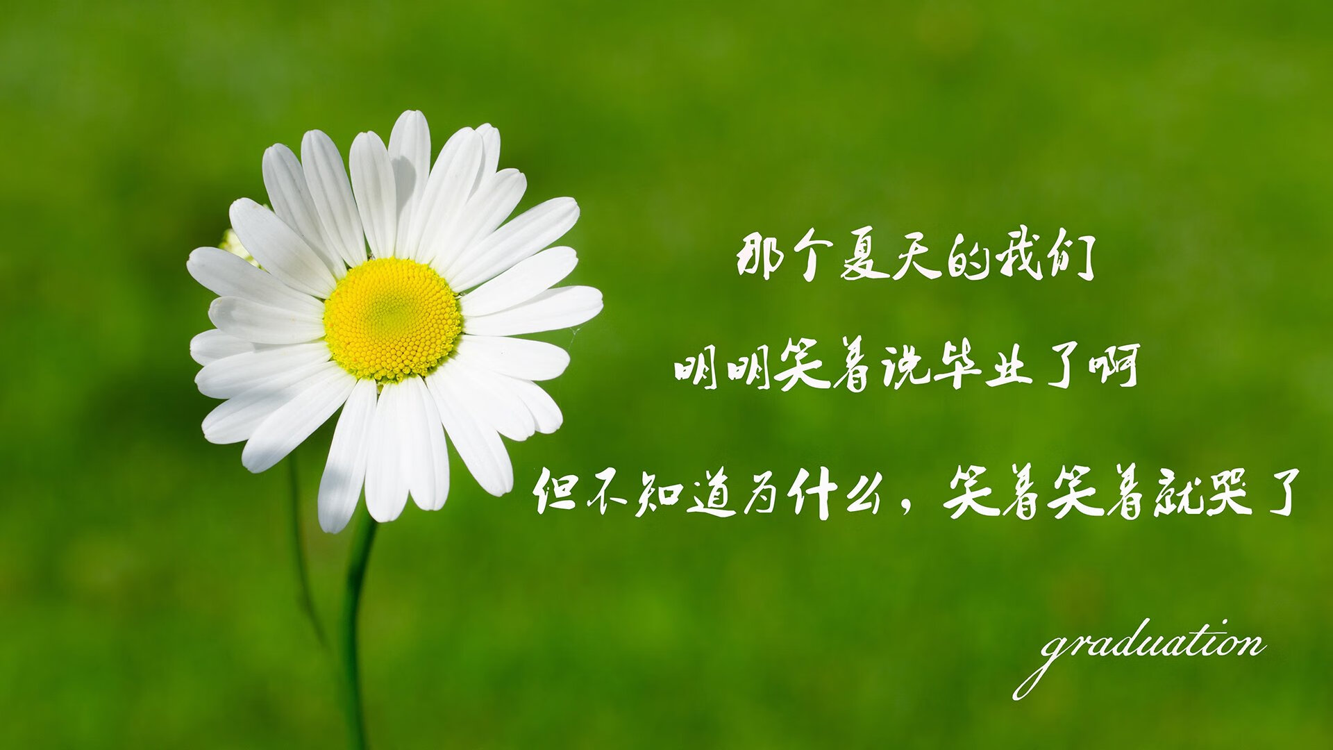 曼城客场逆转多特蒙德，成功挺进半决赛！，2020曼城对多特蒙德比赛视频