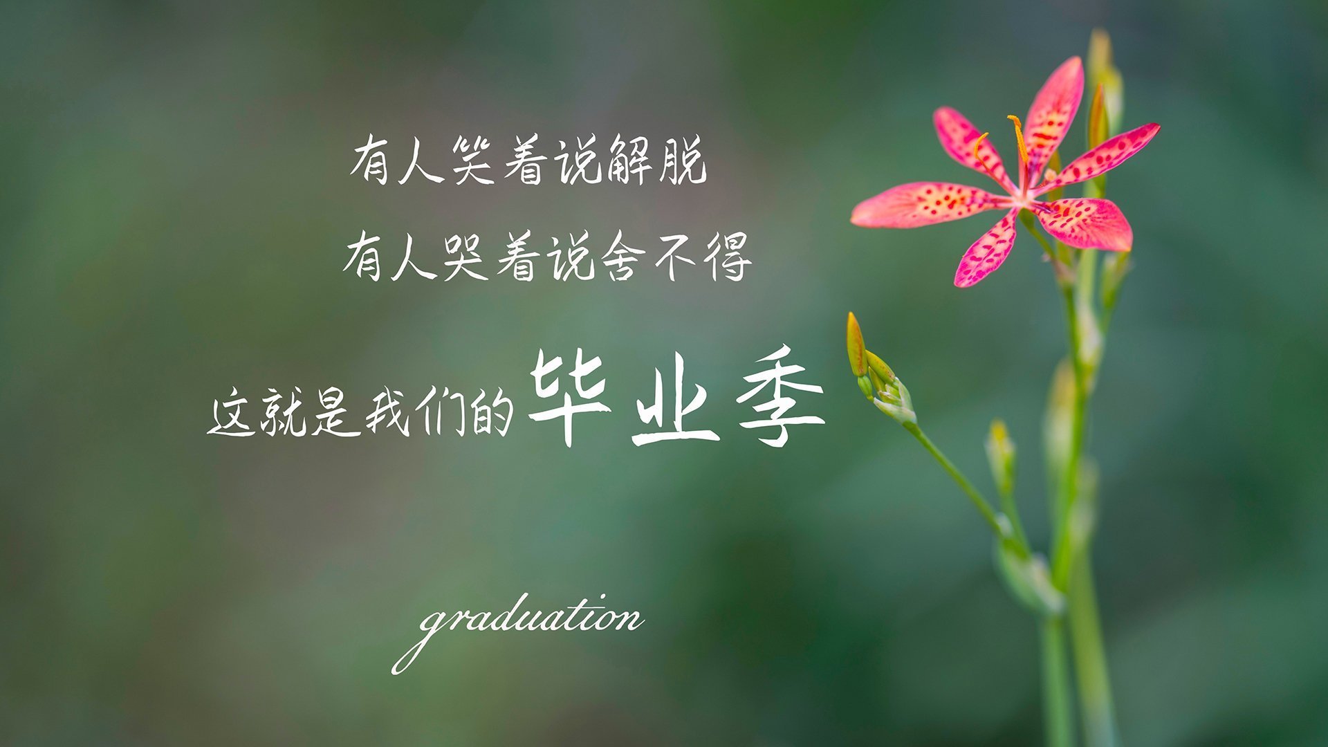 联盟是否应赋能球员成为青年导师标杆