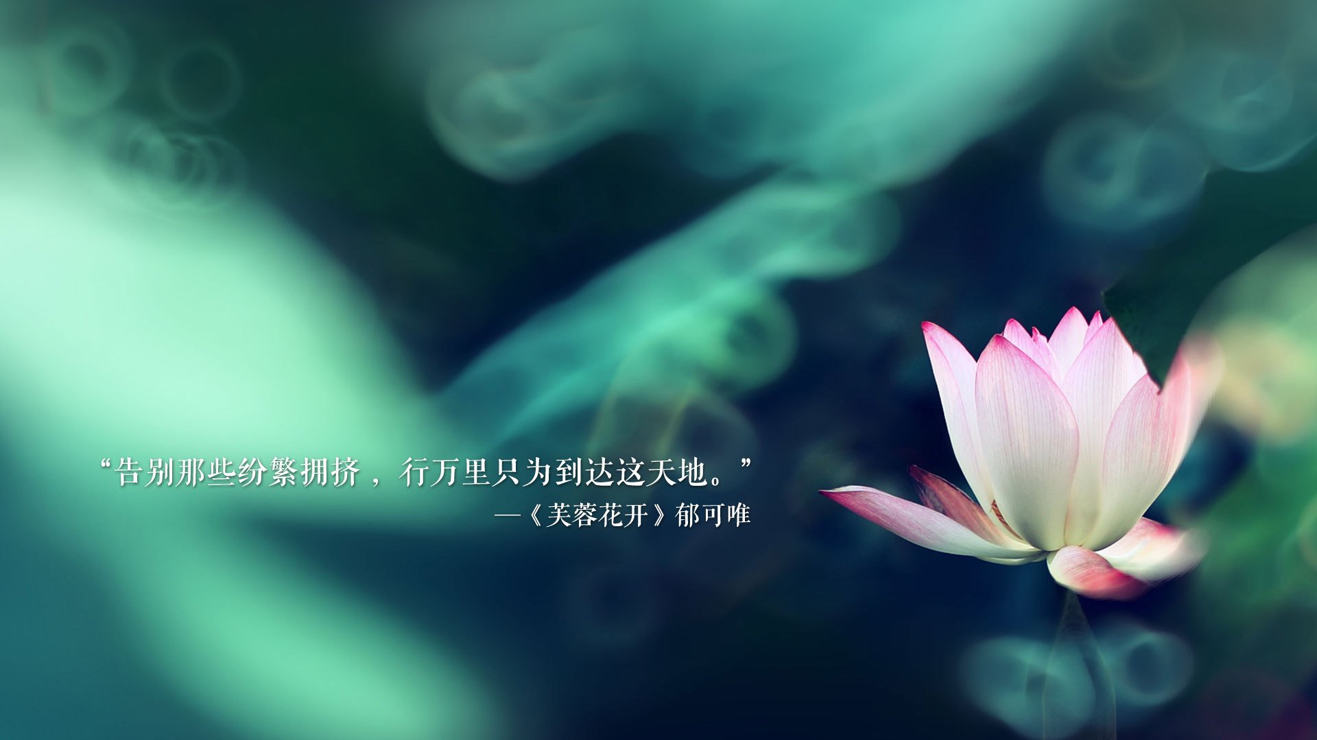 篮球专项技能动作细节规范及训练方法研究，篮球运动技能