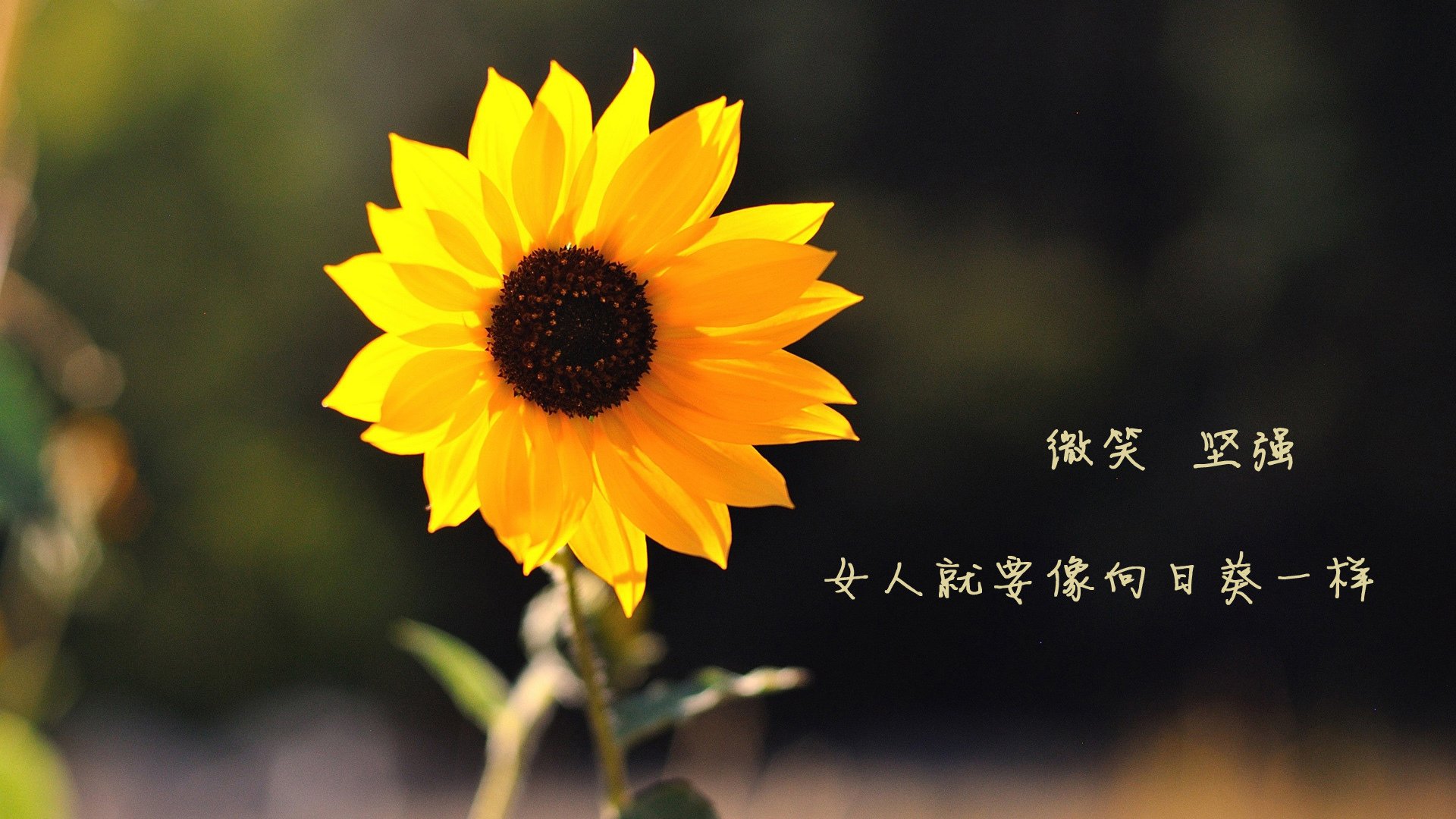 马拉松赛事组织更加规范，马拉松比赛组织